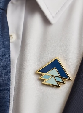 中升宝马徽章高级感拉满的车标胸针，中升定制徽章