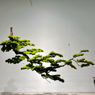 倒挂松树悬挂悬崖式迎客松侧挂景观绿植造景橱窗仿生摆件玄关造景