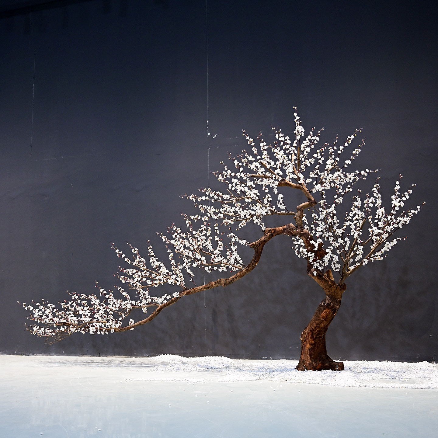 仿真白色梅花树大型装饰树橱窗造景桃花树仿生绿植许愿树景观室内