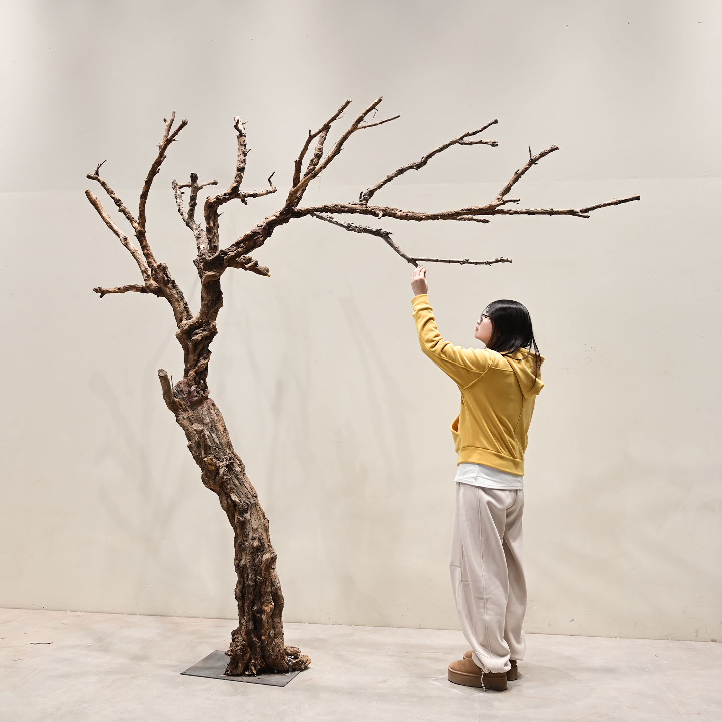 室内外大型造景摆件庭院造景仿真