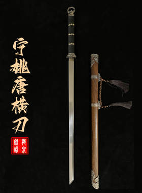 剑来宁姚同款环首压裙唐横刀