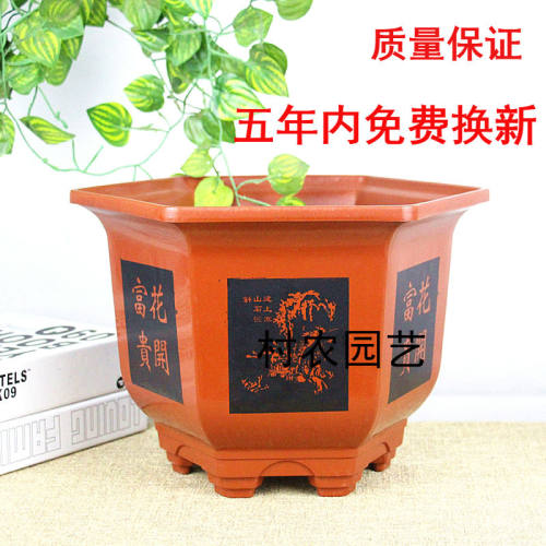 全新款塑料树脂特大号六角花果树
