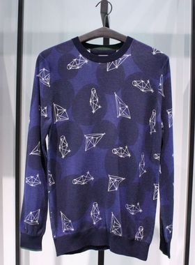 SELECTED思莱德修身休闲湖蓝色纯棉春秋圆领套头长袖毛衣针织衫