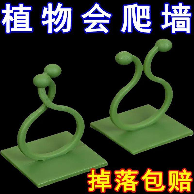 绿萝爬上神器爬墙上固定器绿植攀爬夹子墙上无痕挂钩强力粘爬藤杆,收纳整理,爬墙固定器,淘宝优惠券,粉丝福利购,淘宝优惠卷