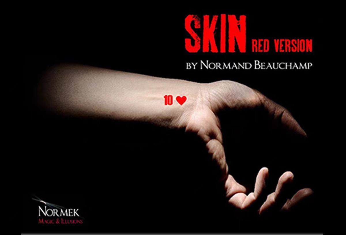 【墨水显现】SKIN HELPER 肤之预言 视觉化 魔术道具