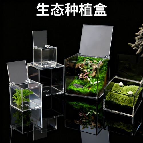 [DIY手工材料]亚克力透明苔藓微景观种植盒桌面创意造景养殖空盒