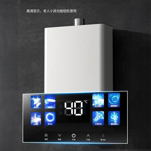德国品牌高端燃气热水器家用变频恒温天然气液化气16L强排恒温款
