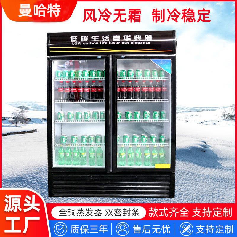 立式单双三门水果保鲜陈列柜饮料啤酒展示柜冷藏柜保鲜柜
