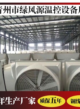 1260型玻璃钢负压风机工业厂房通风换气扇车间抽风排气扇 厂家