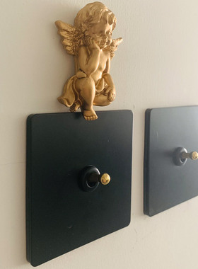 PIALT 86型北欧简约风格 哑光黑色墙壁开关面板拨杆 复古单开插座