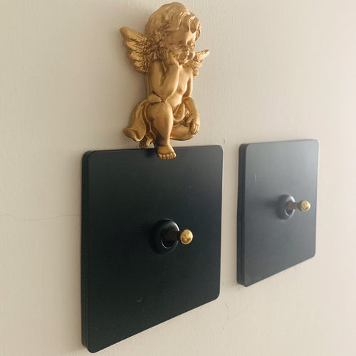 PIALT86型黑色拨杆开关