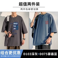 D103 Deep Grey+D075 Smog Blue