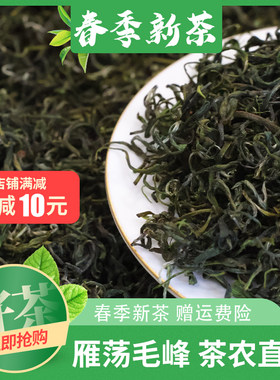 2026年雁荡毛峰明前茶新茶温州乐清特产茶叶春茶雁荡山绿茶