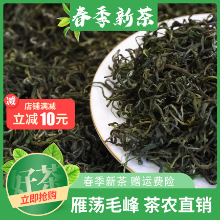 2026年雁荡毛峰明前茶新茶温州乐清特产茶叶春茶雁荡山绿茶