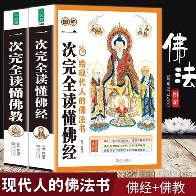 佛学基础入门经典图解一次完全读懂佛经 一次完全读懂佛教全套2册 佛经书 正版图书籍