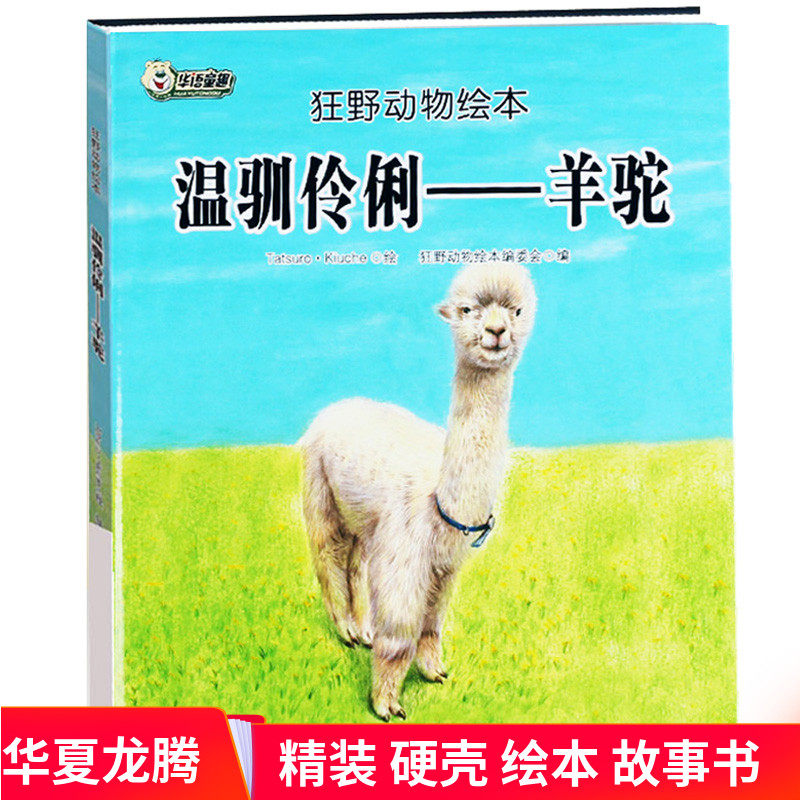 精装硬皮绘本 羊驼绘本 狂野动物绘本温驯伶俐—羊驼 儿童3-6-8岁绘本故事书 幼儿园硬壳动物百科知识绘本 正版现货 - 实物图