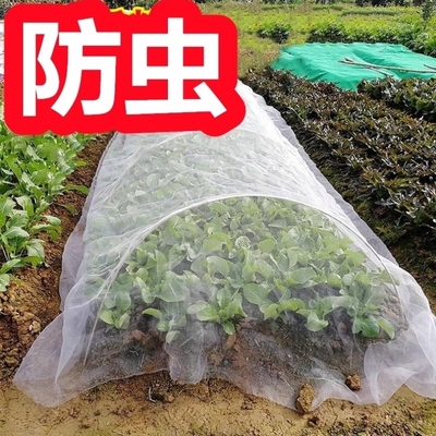 农用蔬菜小拱棚支架拱杆玻璃纤维塑料菜园大棚地膜种菜专用防虫网