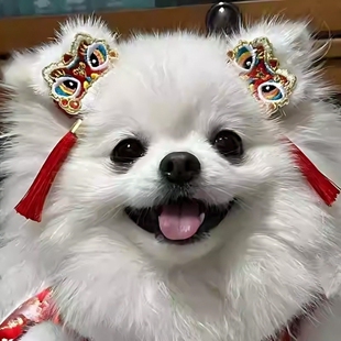 狗狗新年发夹约克夏边牧博美头饰夹子发卡宠物西高地过年喜庆配饰
