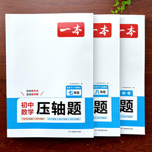 2025一本初中数学压轴题精讲精练解题规律专项训练七八九年级中考试卷数学核心考点及定律及考点突破分类全解重难点真题解题方法书
