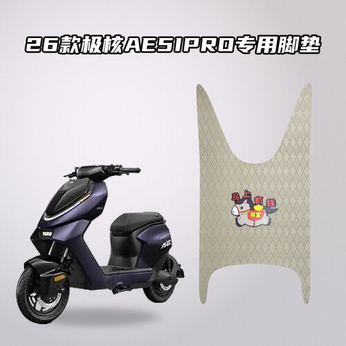 适用极核AE5IPRO电动车脚垫26款加厚防水耐磨防滑专用脚