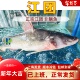 非清江鱼鲜活现杀新鲜长吻肥沱王回头渡红烧烤鱼钩黔钳鱼 江团