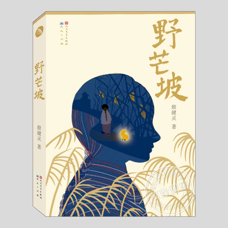 野芒坡(正版现货)殷健灵儿童文学长篇励志故事二三四五六年级小学初中生必读阅读课外书籍故事书儿童文学小说图书