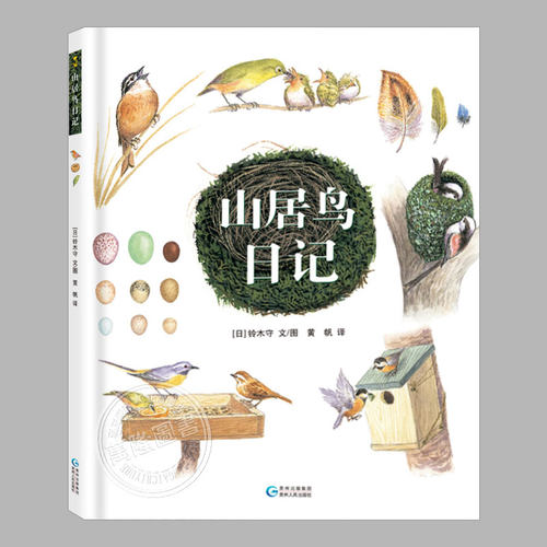 铃木守的鸟世界山居鸟日记(新版精装)儿童绘本3三-4-5到6岁以上幼儿园大中小班小学宝宝孩子入学前阅读睡前启蒙故事图画书籍