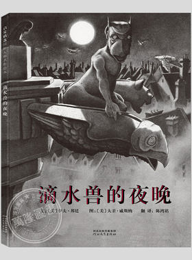 滴水兽的夜晚(正版硬壳精装)伊夫邦廷/大卫威斯纳作品,儿童绘本3三-4-5到6岁以上幼儿园大中小班宝宝孩子阅读睡前启蒙故事图画书籍