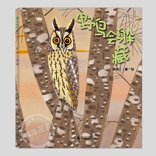 鸟类科普百科精选绘本