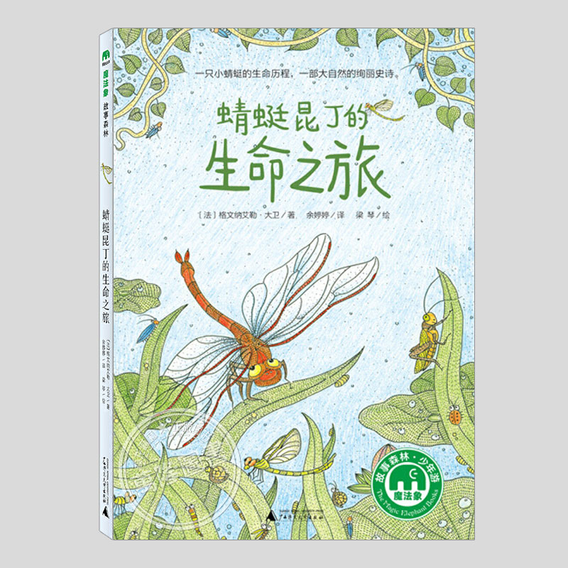 蜻蜓昆丁的生命之旅(正版)魔法象故事森林系列,二三四年級課外閱讀書籍科學(xué)觀察與文學(xué)創(chuàng)作融合展現(xiàn)小蜻蜓的生命歷程兒童故事書