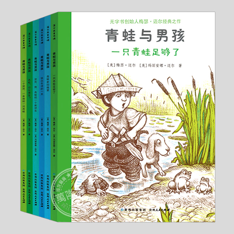 青蛙与男孩(全套6册)梅瑟迈尔,看图说话提升表述能力,儿童无字绘本睡前故事书3-4-6-8周岁幼儿园宝宝阅读启蒙亲子图画早教书籍