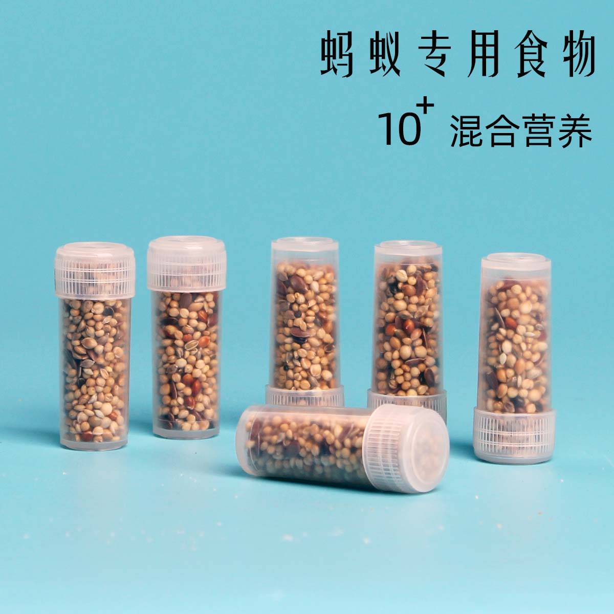 专用蚂蚁食物 学生宠物蚂蚁饲料 收获蚁专用种子蚁粮 营养搭配好