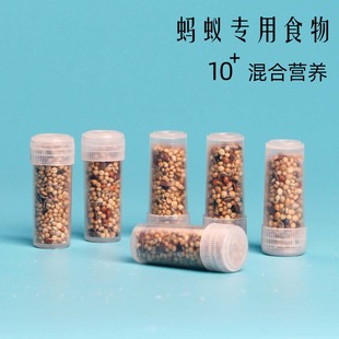 专用蚂蚁食物 学生宠物蚂蚁饲料 收获蚁专用种子蚁粮 营养搭配好