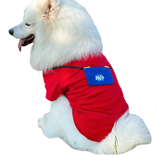 狗狗衣服夏季薄款萨摩耶金毛柴犬哈士奇中大型犬防掉毛春秋款衣服