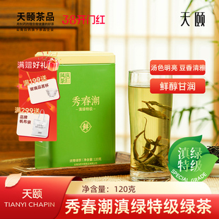 天颐秀春潮云南滇绿早春烘青绿茶茶叶特级春茶2025新茶豆香罐120g