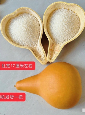 老式手工葫芦水瓢勺木瓢勺水舀子天然葫芦瓢家用农村厨房水瓢面瓢