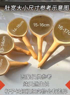 纯天然葫芦瓢福禄瓢长杆木瓢厨房舀水勺复古摄影道具浇花养生米面