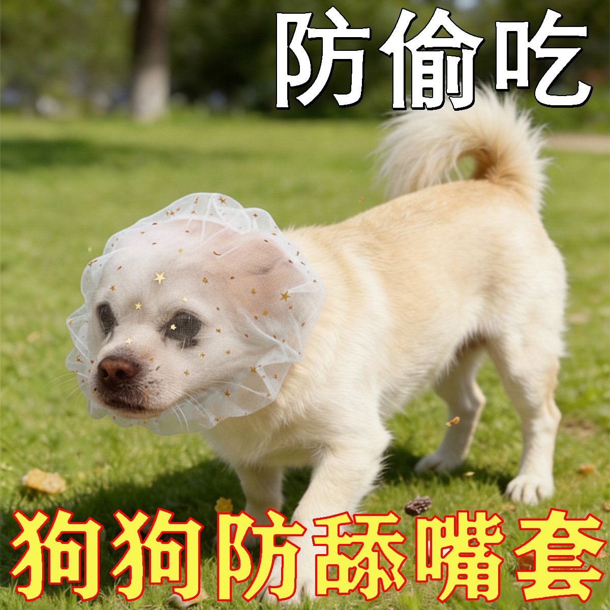 狗狗一次性防水防舔防误食嘴套图片