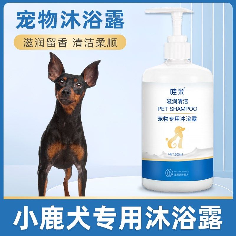 哇米小鹿犬专用沐浴露清香香波浴液成犬幼犬狗狗洗澡用品日常消臭,宠物/宠物食品及用品,狗香波浴液,淘宝优惠券,粉丝福利购,淘宝优惠卷