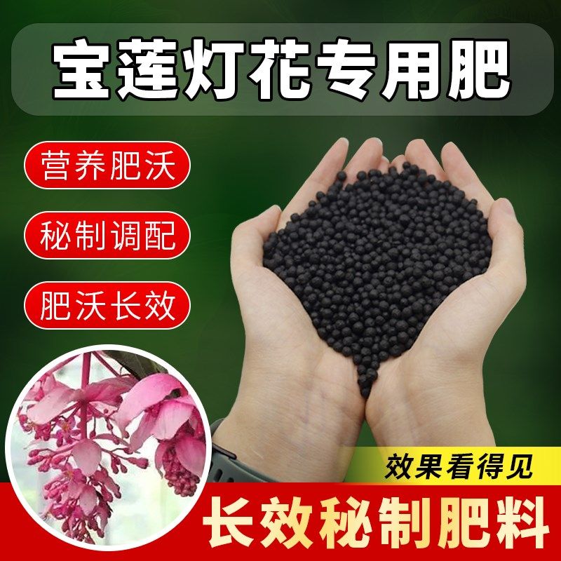 宝莲灯专用肥料种花养花盆栽宝莲花肥料治黄叶掉叶花大色艳有机肥,鲜花速递/花卉仿真/绿植园艺,家庭园艺肥料,淘宝优惠券,粉丝福利购,淘宝优惠卷