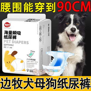 边牧边境牧羊犬专用生理裤狗w狗纸尿裤母狗尿不湿经期姨妈巾大型