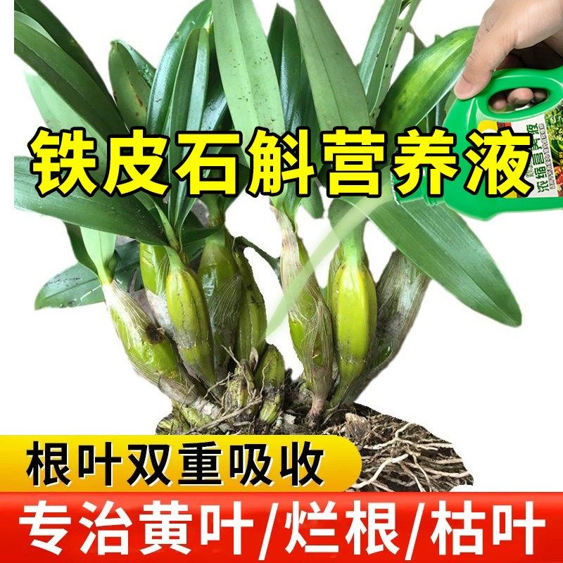 铁皮石斛营养液水养花草植物水溶肥增长液果树花卉园艺通用型液体