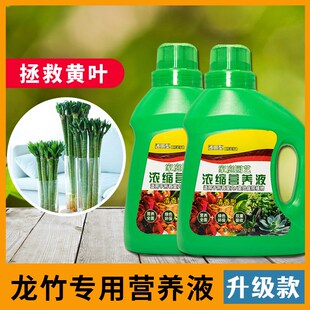 龙竹营养液花草无土栽培专用植树室内肥料液体肥促生长农用通用型