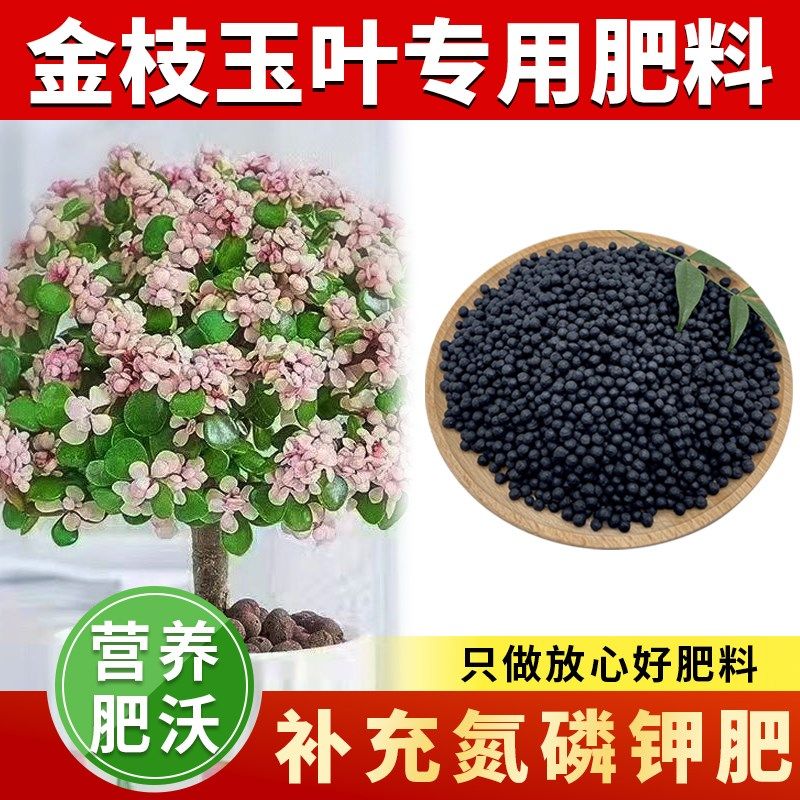 金枝玉叶专用肥复合肥料花肥家用盆栽金枝玉叶有机缓释颗粒花卉肥,鲜花速递/花卉仿真/绿植园艺,家庭园艺肥料,淘宝优惠券,粉丝福利购,淘宝优惠卷