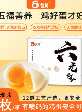 晋龙六无蛋农残兽残均达标鲜鸡蛋