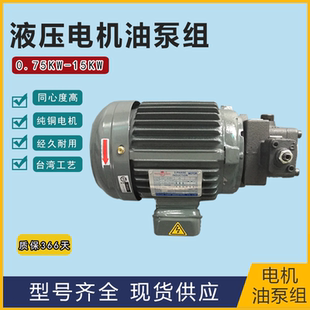 液压油泵电机组0.75KW VP20叶片泵总成内轴电机液压站配件系统