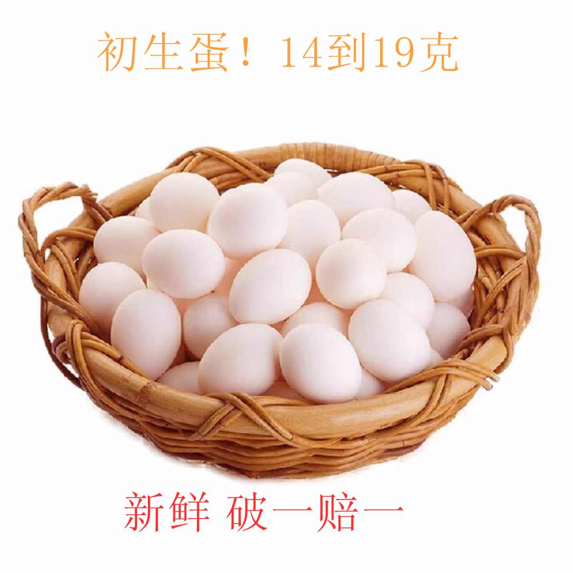 30枚新鲜鸽子蛋初生蛋