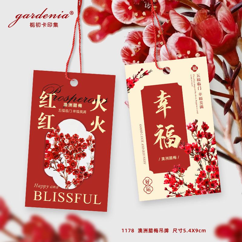 布置澳洲年宵花腊梅吊牌吊卡绿植装饰室内装饰春节插花新年用品