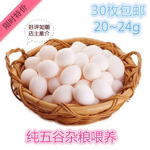 新鲜鸽子蛋30枚包邮620克装