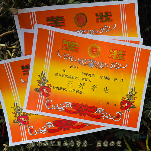 A4光荣花烫金三好学生奖状学习进步奖优秀学生成绩期中末中小学活动比赛奖状荣誉名次等奖学校学生颁发